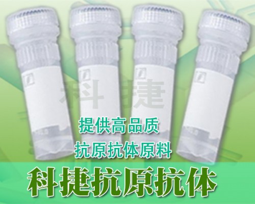 甲基对硫磷单克隆抗体 甲基对硫磷抗原抗体 甲基对硫磷抗体 MP抗体