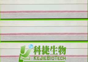 呋喃妥因检测卡 呋喃妥因试纸 呋喃妥因半成品 呋喃妥因大板