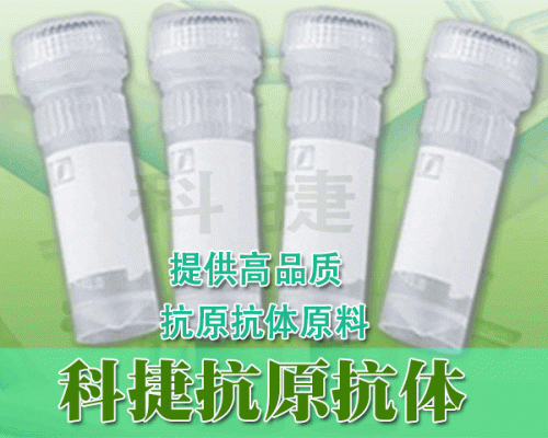 冻存管 冷冻管,冷存盒,冻存盒