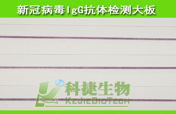 新型冠状病毒（2019-nCoV）IgG抗体检测大板