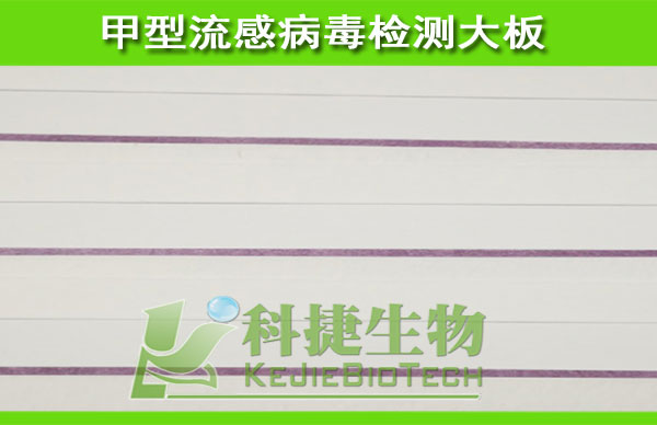 甲型流感检测卡 甲型流感试纸 甲型流感胶体金半成品,甲型流感胶体金大板