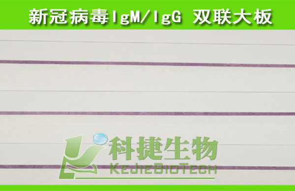 新型冠状病毒(2019-nCoV)IgG/IgM 抗体检测大板 新型冠状病毒检测大板