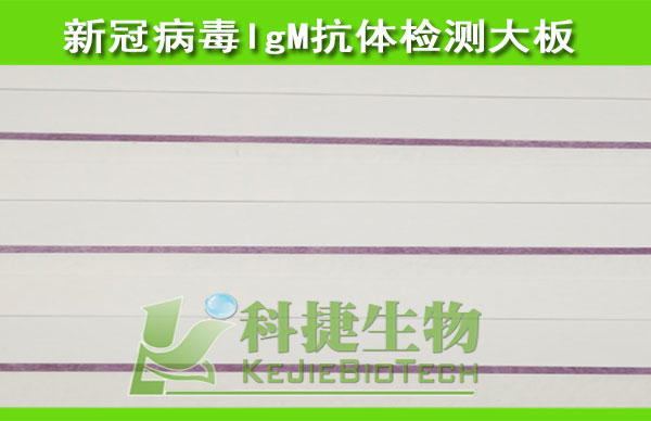 新型冠状病毒(2019-nCoV)IgM抗体检测大板 新型冠状病毒检测大板