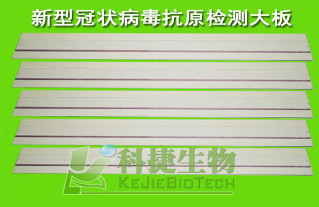 新冠检测大板 新冠抗原抗体检测大板 新型冠状病毒检测大板 2019-nCoV试剂盒 新冠检测卡