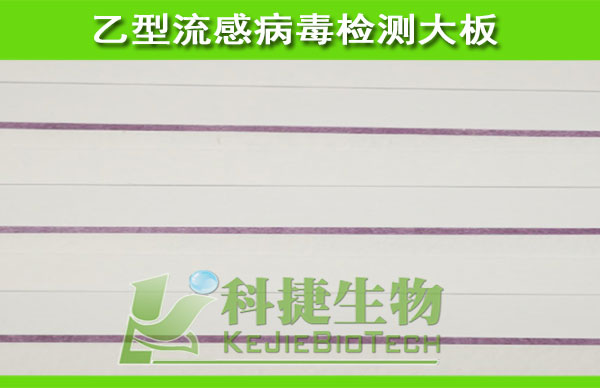 乙型流感检测卡 乙型流感试纸 乙型流感半成品 乙型流感胶体金大板