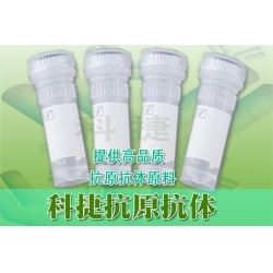 噻虫胺抗体 噻虫胺单克隆抗体 CTD抗体